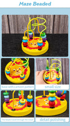 9-in-1 Montessori Musical Toy