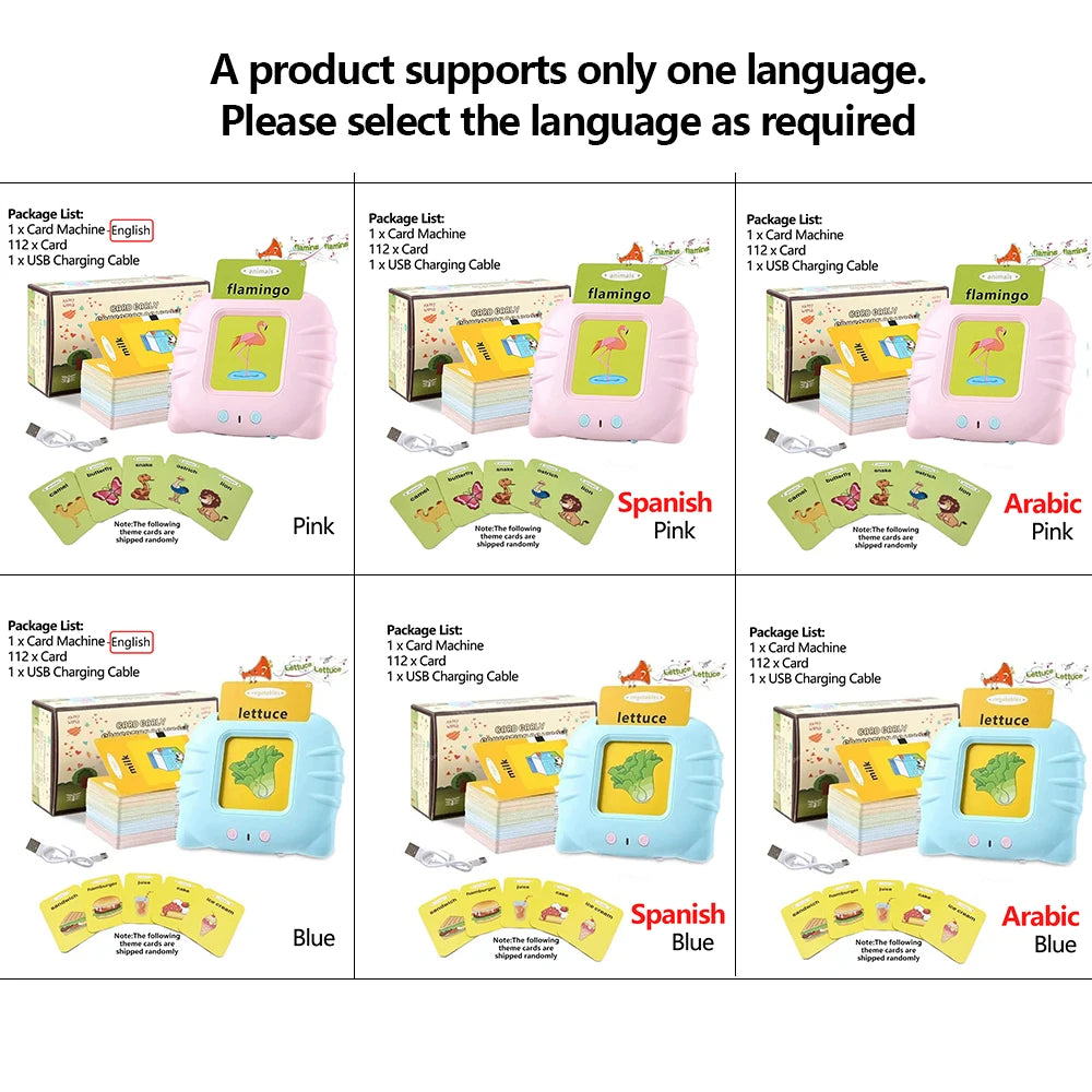Talking Flashcards Learning Toy