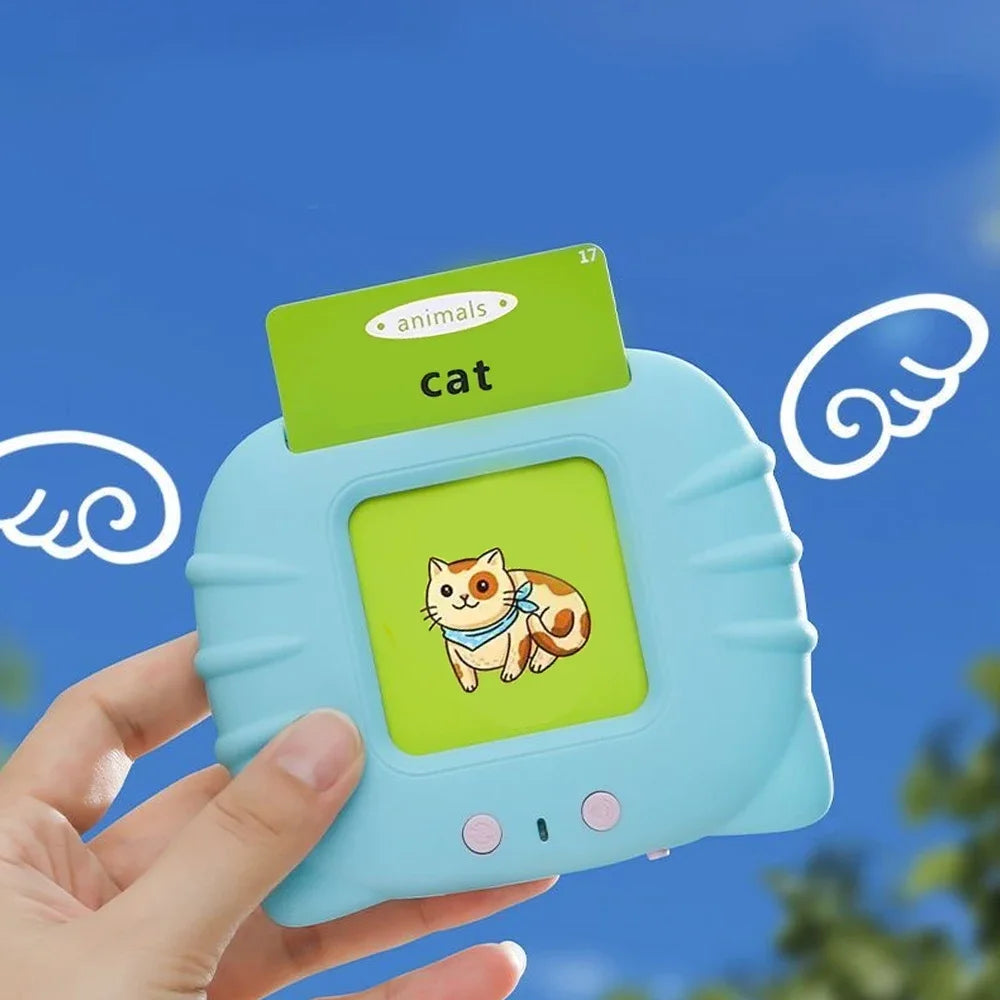 Talking Flashcards Learning Toy