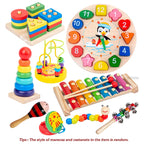 9-in-1 Montessori Musical Toy
