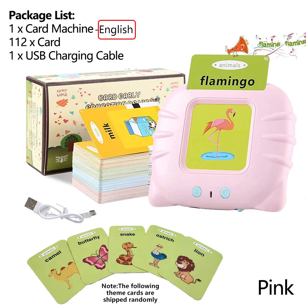 Talking Flashcards Learning Toy