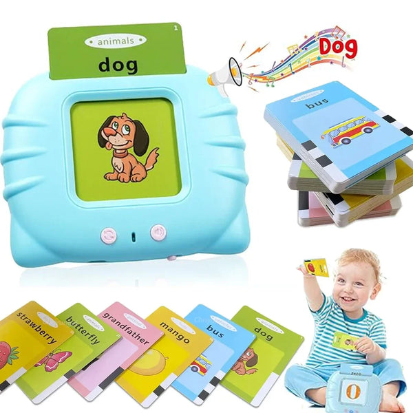 Talking Flashcards Learning Toy